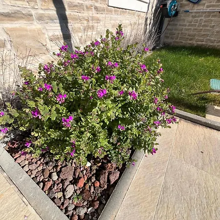 Dovolená Bez Starostí - Murter