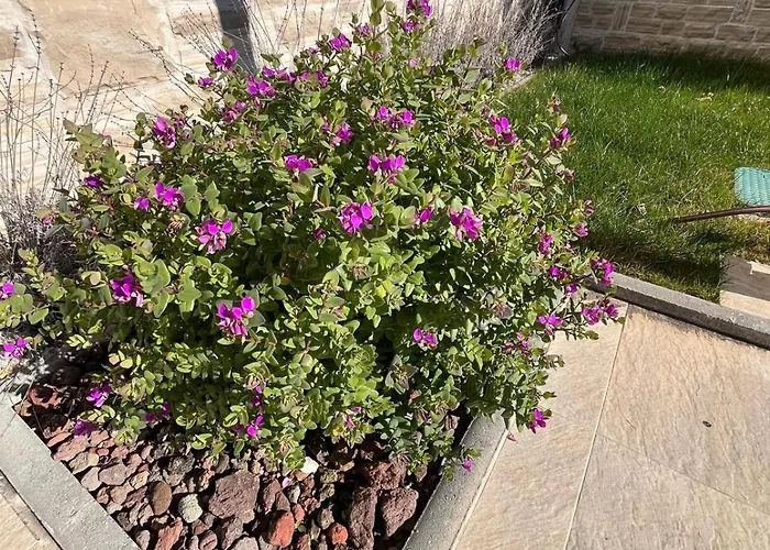 Dovolená Bez Starostí - Murter